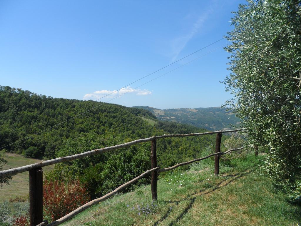 Agriturismo La Terrazza Valfabbrica Екстериор снимка